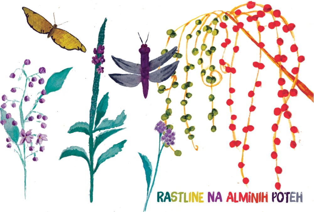 RASTLINE NA ALMINIH POTEH