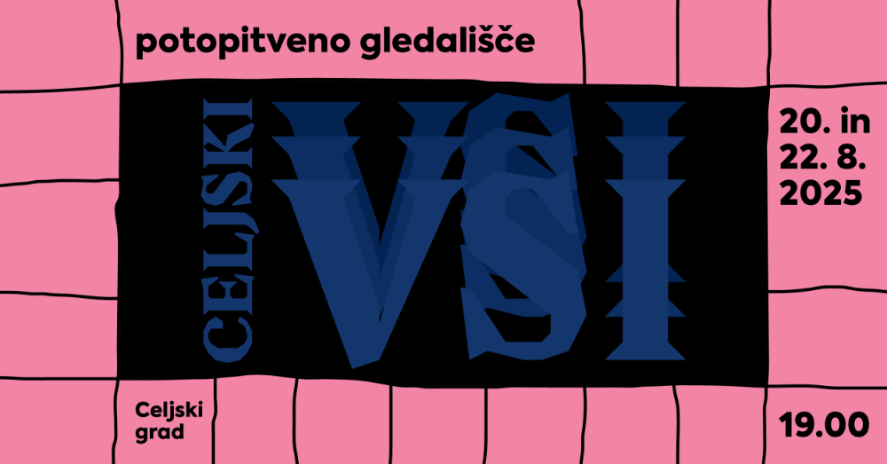 CELJSKI VSI