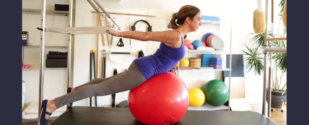 ZDRAVA HRBTENICA - PRESTAVLJEN