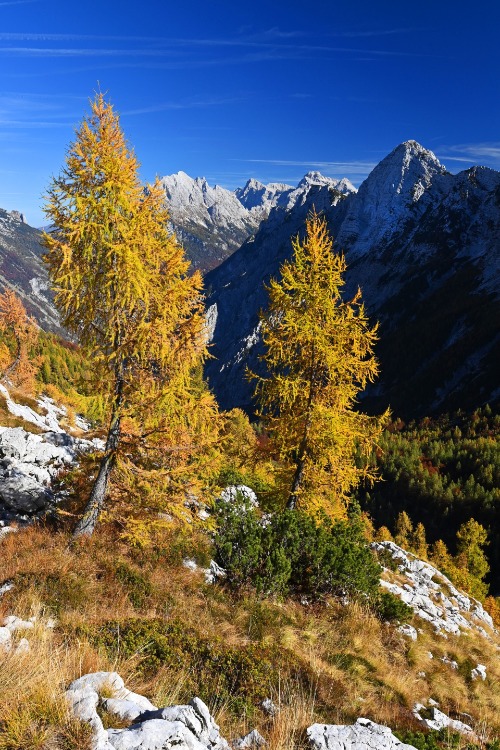 ČAROBNI ZAKLADI SLOVENIJE