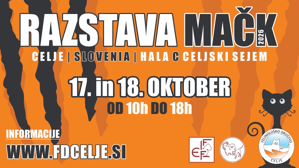 RAZSTAVA MAČK
